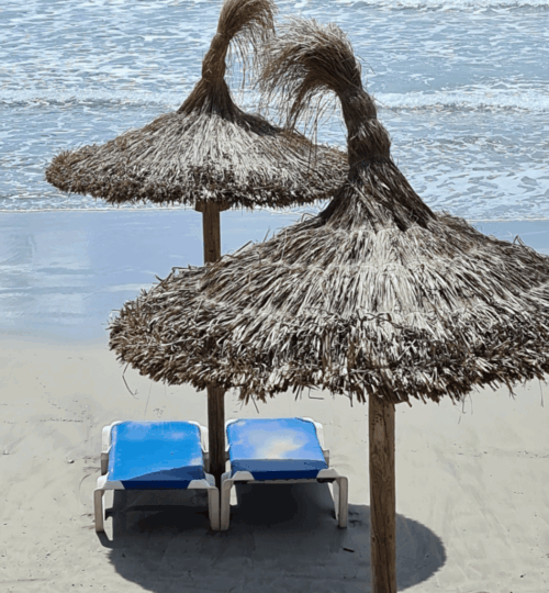 Mentales Top-Training auf Mallorca