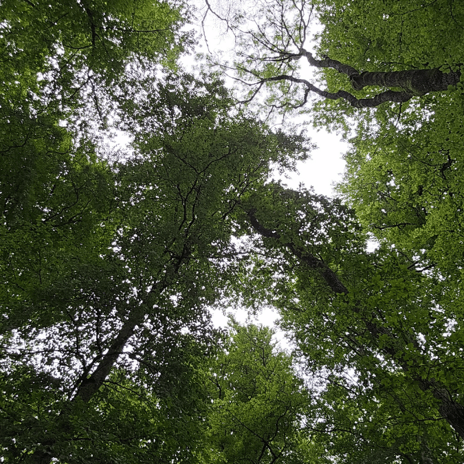 Mentales Outdoor-Training Hybrid III